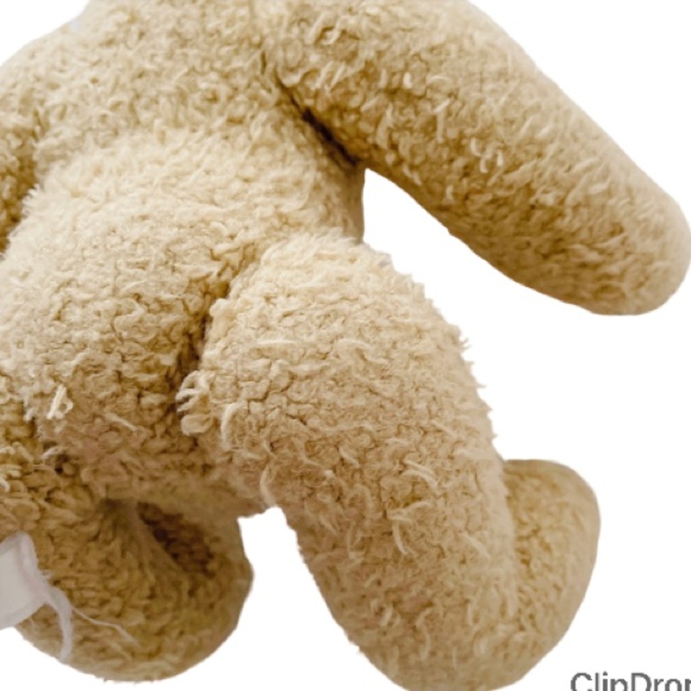 Teddy Bear Soft Toy (G458) - Picture 7 of 10